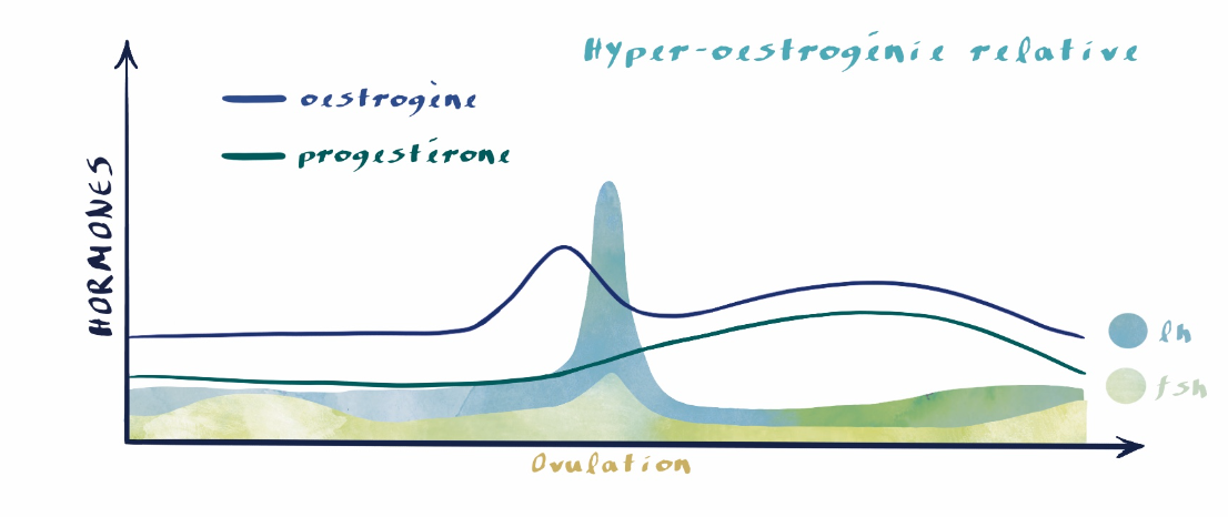 Courbe hormonale hyper-oestrogénie relative, déséquilibre hormonale, cycle menstruel, syndrome prémenstruel